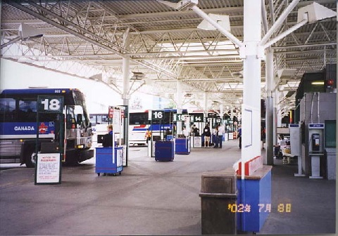 file.006.jpg