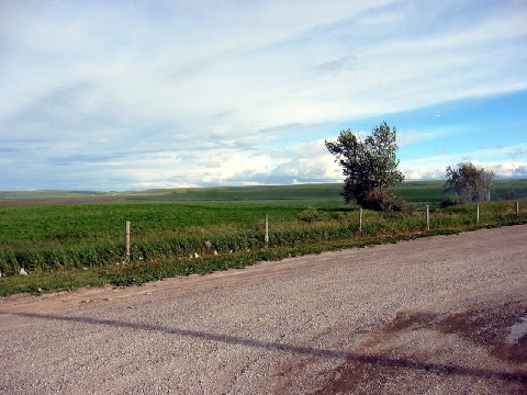 file.008g.jpg