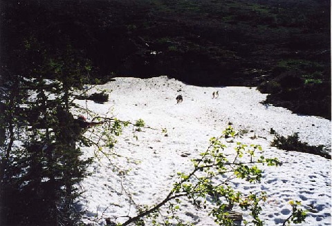 file.012d.jpg