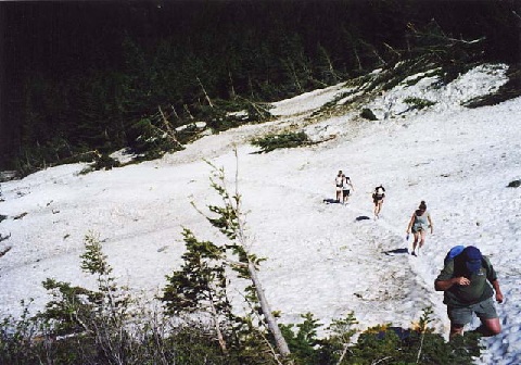 file.012e.jpg
