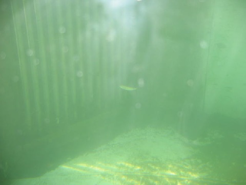 file.019b.jpg