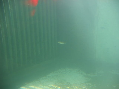 file.019c.jpg