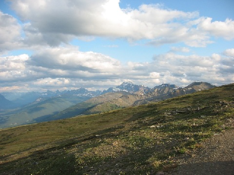 file.027f.jpg
