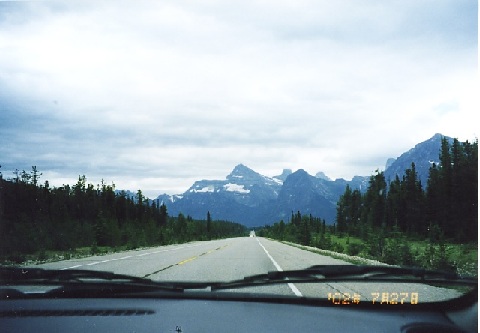 file.028c.jpg