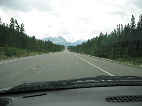 file.029e.jpg