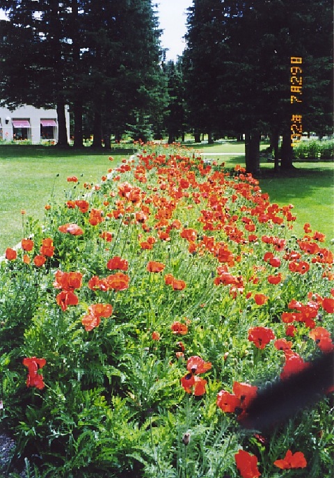file.031i.jpg