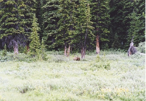 file.032d.jpg