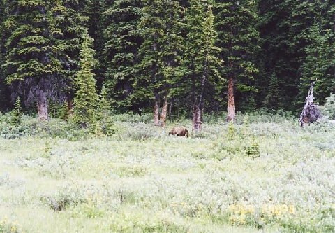 file.032e.jpg