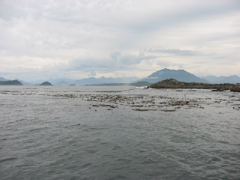 file.035d.jpg