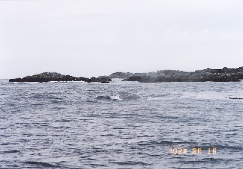 file.035e.jpg