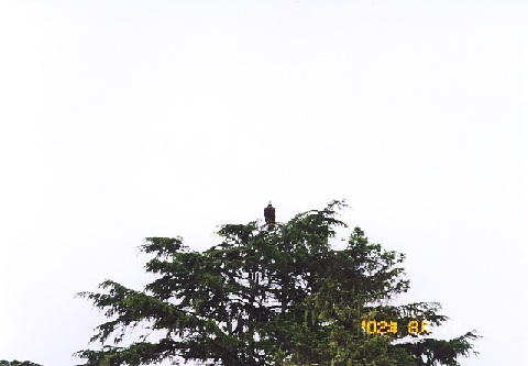 file.035m.jpg